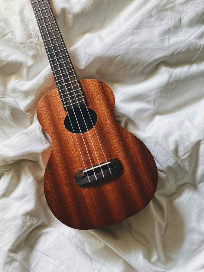 Ukulele
