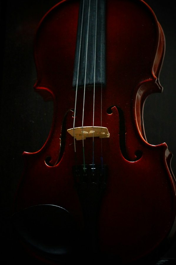 Violin